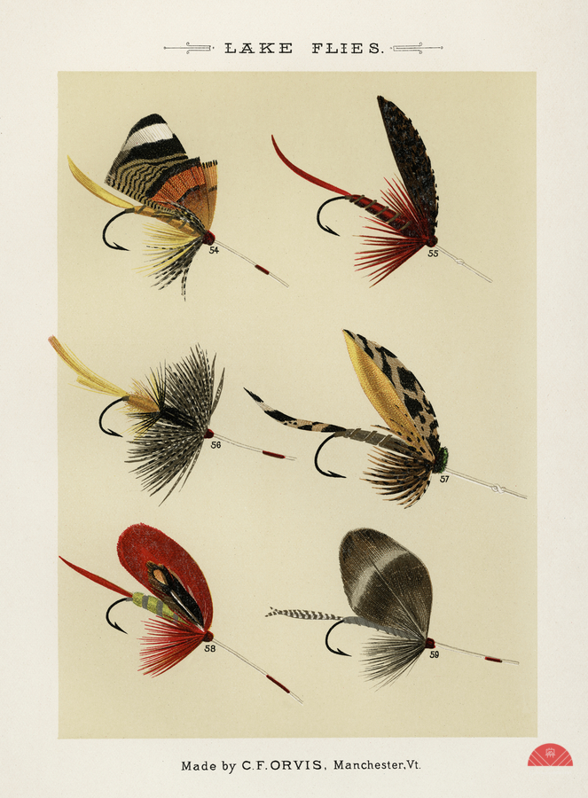 Trout & Bass Flies   Print