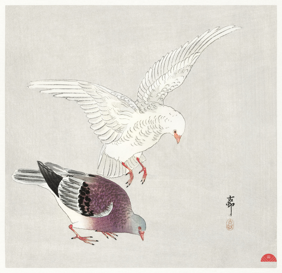 Two pigeons 1877-1945 by Ohara Koson 1877-1945.  Print