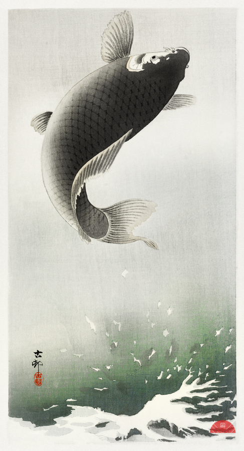 Leaping carp 1900 - 1930 by Ohara Koson 1877-1945.  Print