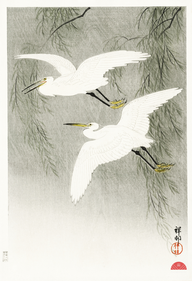 Little Egrets in flight 1925 - 1936 by Ohara Koson 1877-1945.  Print