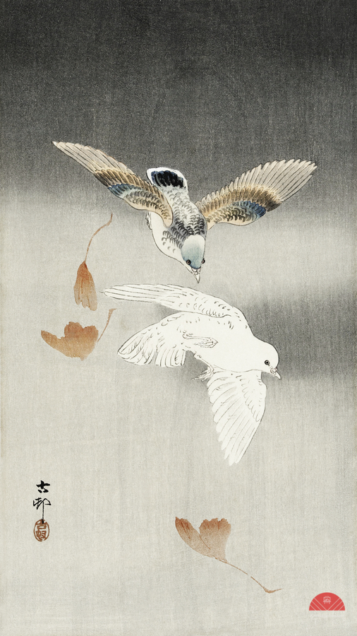 Two pigeons with falling ginkgo leaves 1900 - 1930 by Ohara Koson 1877-1945.  Print