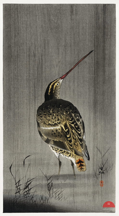 Snipe in the rain 1900 - 1930 by Ohara Koson 1877-1945.  Print