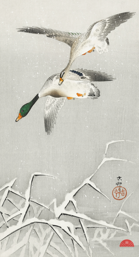 Two wild ducks in flight 1900 - 1936 by Ohara Koson 1877-1945.  Print