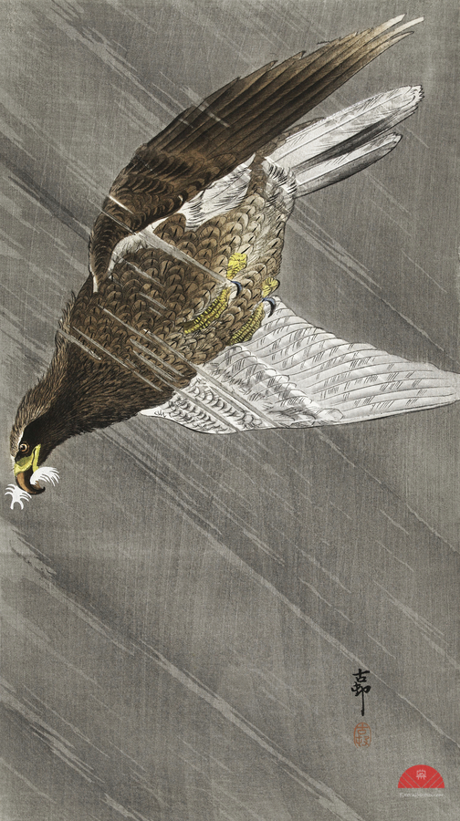 Downward flying eagle 1900 - 1930 by Ohara Koson 1877-1945.  Print