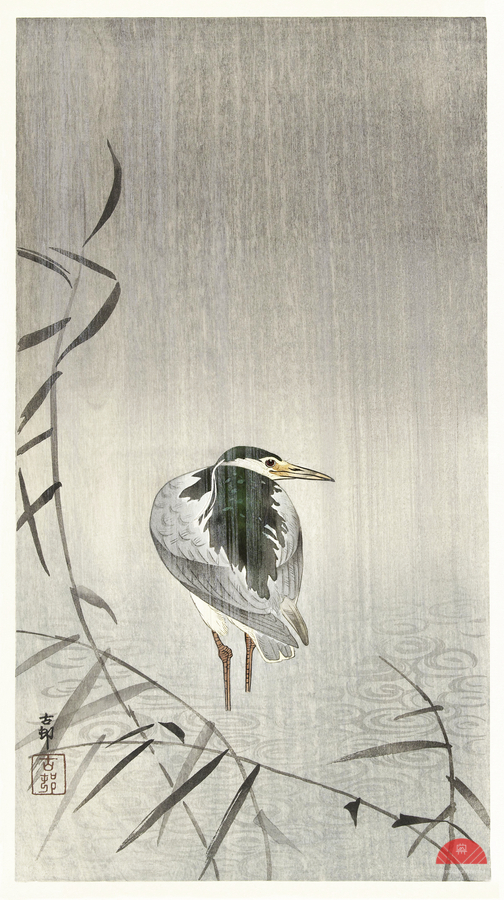 Kwak in rain 1900 - 1936 by Ohara Koson 1877-1945.  Imprimer