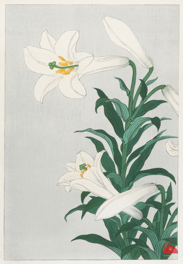 Lilies Ohara  1920 - 1930 by Ohara Koson 1877-1945.  Print