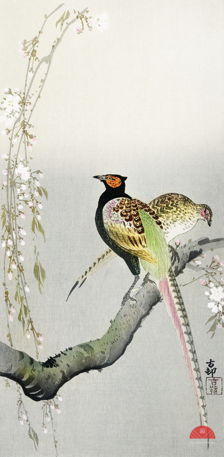Couple pheasants and cherry blossom 1900 - 1936 by Ohara Koson 1877-1945.  Print