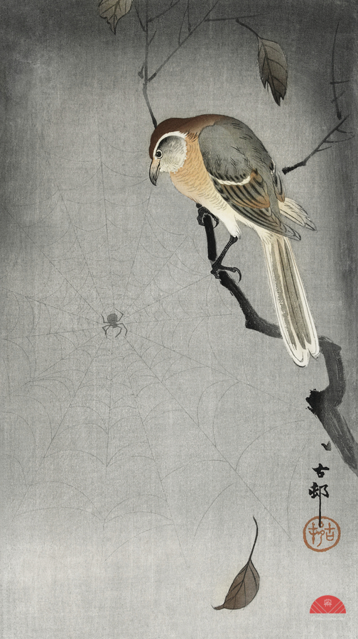 Buffalo wing shrike and spider 1900 - 1930 by Ohara Koson 1877-1945.  Print