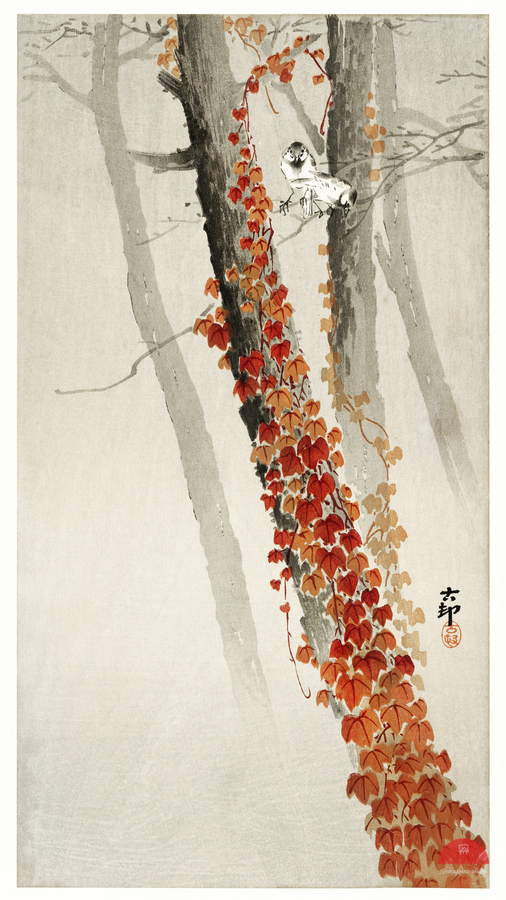 Red ivy 1900 - 1930 by Ohara Koson 1877-1945.  Print