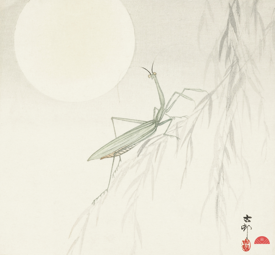 Praying mantis 1900 - 1936 by Ohara Koson 1877-1945.  Imprimer