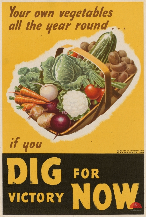 Your Own Vegetables all the Year Round…if You Dig for Victory Now  Print