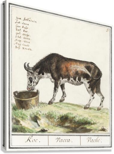 Cow in vintage style Canvas Print