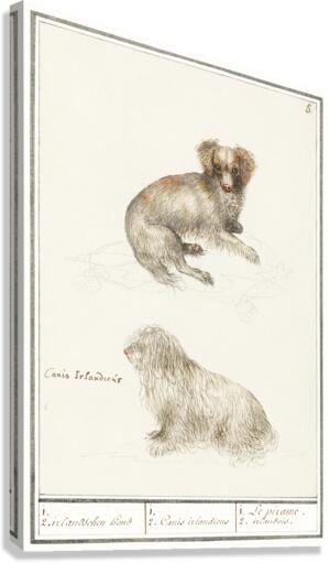 Two dogs in vintage style Canvas Print