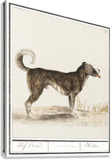 Dog in vintage style Canvas Print