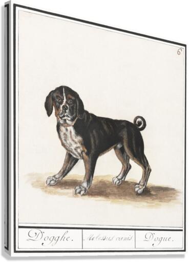 Dog in vintage style Canvas Print