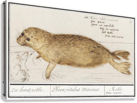 Seal in vintage style Canvas Print