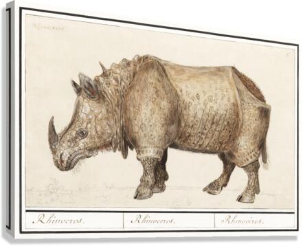 Rhinoceros in vintage style Canvas Print