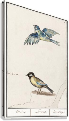 Passerines in vintage style Canvas Print