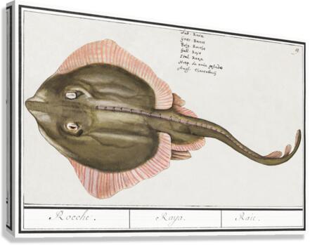 Rays in vintage style Canvas Print