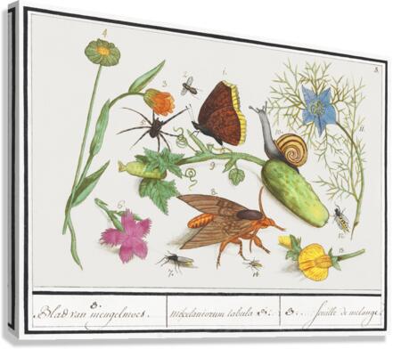 Nature ensemble in vintage style Canvas Print