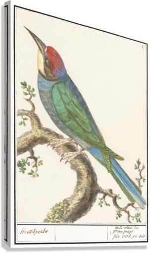 European bee eater in vintage style Canvas Print