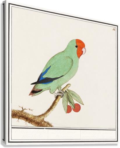 Wallcreeper in vintage style Canvas Print