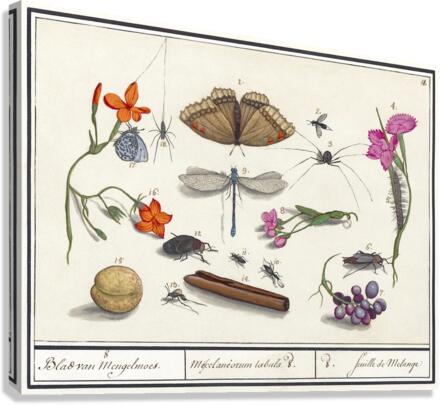 Nature ensemble in vintage style Impression sur toile