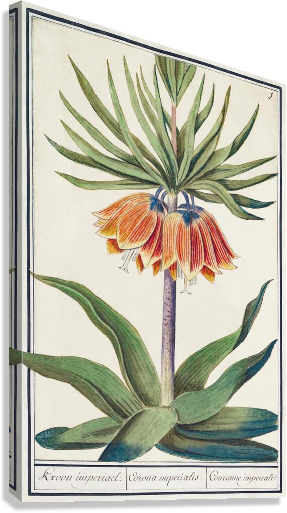 Kaisers crown in vintage style Canvas Print