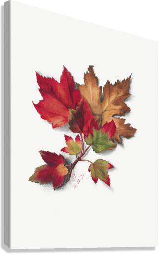 Autumn Leaves 1874 Canvas Print