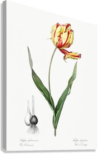 African flag illustration  Canvas Print