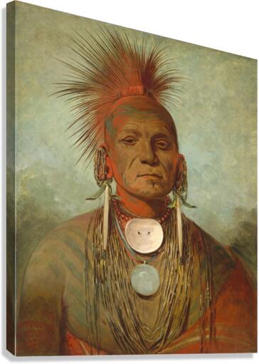See-non-ty-a an Iowa Medicine Man 1844-1845 Canvas Print