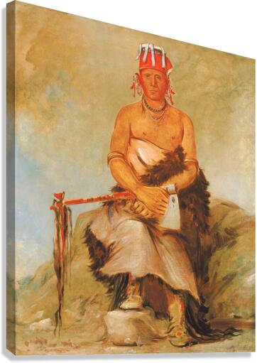 A’h-Sha-La-Cóots-Ah Mole In The Forehead Chief of The Republican Pawnee 1832  Canvas Print