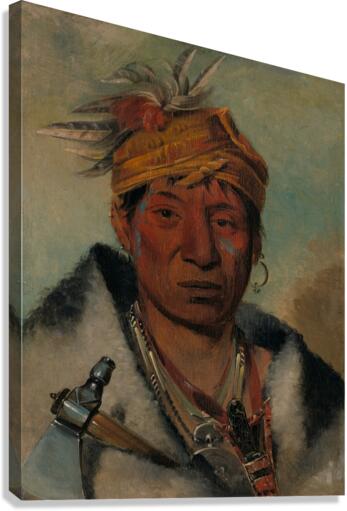 Ah-Yaw-Ne-Tak-Oár-Ron a Warrior 1831 Canvas Print
