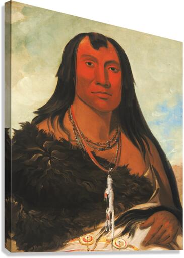 Cháh-Ee-Chópes Four Wolves a Chief In Mourning 1832 Canvas Print