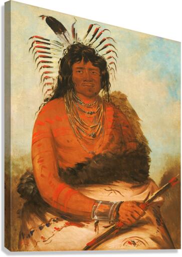 Háh-Nee The Beaver a Warrior 1834 Canvas Print