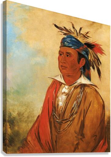 Wah-Pón-Jee-A The Swan a Warrior 1830 Canvas Print