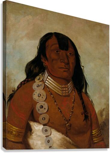 Téh-Tóot-Sah Better Known As Tohausen Little Bluff First Chief 1834 Canvas Print