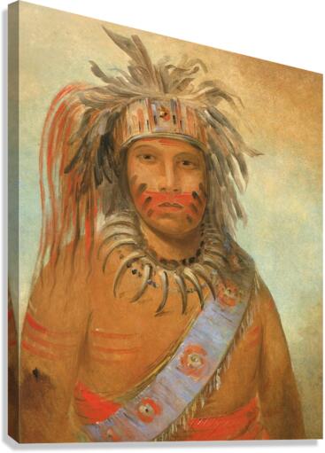 Au-nim-muck-kwa-um Tempest Bird 1845 Canvas Print