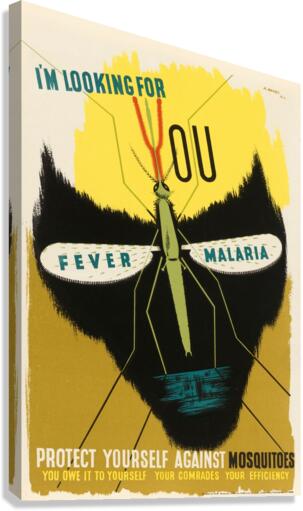 I’m Looking for You – Fever – Malaria Canvas Print