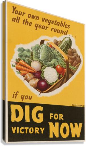 Your Own Vegetables all the Year Round…if You Dig for Victory Now Canvas Print