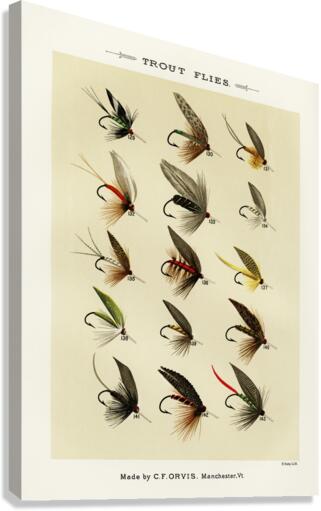Trout Flies  Canvas Print