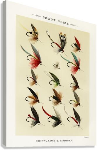 Trout Flies  Canvas Print