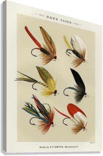 Bass Flies  Canvas Print