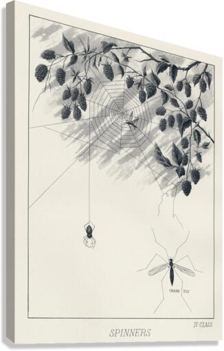 Lake Flies  Canvas Print