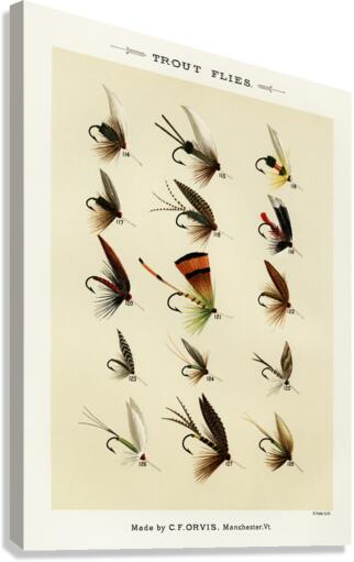 Trout Flies  Canvas Print