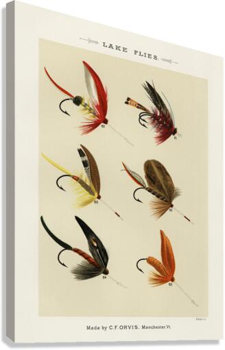 Lake Flies  Canvas Print