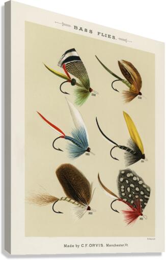 Bass Flies  Canvas Print