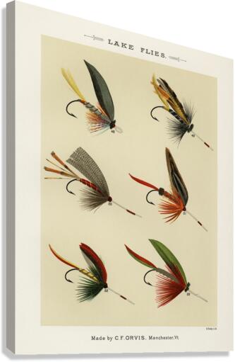 Lake Flies  Canvas Print