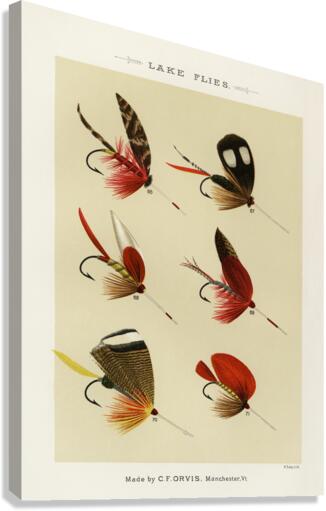Lake Flies  Canvas Print
