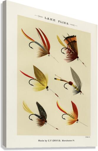 Lake Flies  Canvas Print